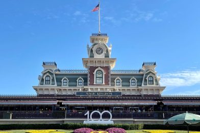 Two People Banned From Walt Disney World After Fight in Front of Magic Kingdom Train Station