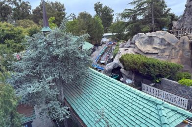 PHOTOS: Ride Vehicles Back on Track at Matterhorn Bobsleds in Disneyland