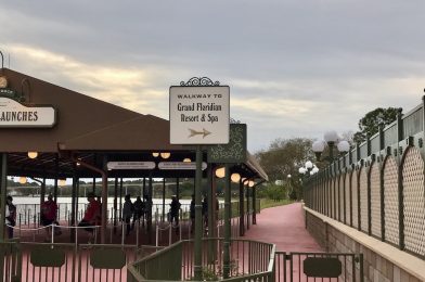 Magic Kingdom Walking Path to Reopen Late Spring 2023