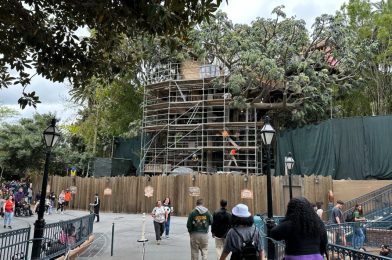 PHOTOS: Water Wheel and Crow’s Nest Installed at Adventureland Treehouse in Disneyland