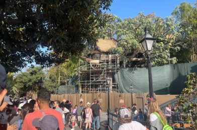 PHOTOS: More of Adventureland Treehouse Revealed as Scaffolding Comes Down at Disneyland