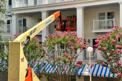 PHOTOS: New Cake Bake Shop Taking Shape, Painting Continues on Balconies and Deli at Disney’s BoardWalk Inn