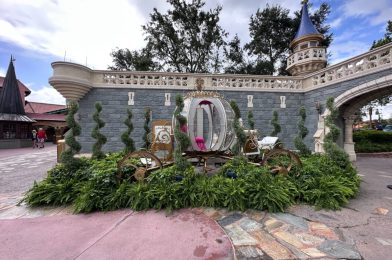 Photo Op Featuring Cinderella’s Carriage Returns to Magic Kingdom