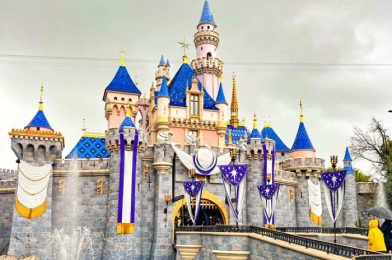 NEWS: 5 CLOSURES Revealed for Disneyland