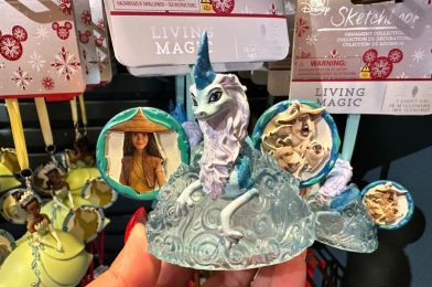 New Raya & the Last Dragon, Princess & the Frog, Mr. Toad, and Orange Bird Ear Hat Ornaments at Walt Disney World