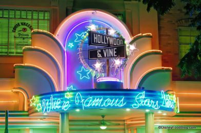 DATES ANNOUNCED for Important Changes at Disney’s Hollywood & Vine Restaurant