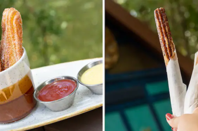 National Churro Day 2023 Treats at Walt Disney World