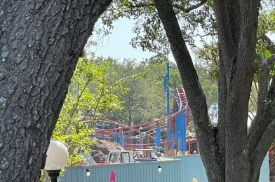 PHOTOS: Woody Woodpecker’s Nuthouse Coaster Still Standing During KidZone Demolition at Universal Studios Florida