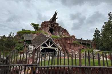 PHOTOS: Tiana’s Bayou Adventure Signs on Construction Walls Around Splash Mountain in Disneyland