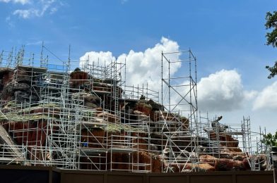 Seating Preferences Now Offered for Dining Reservations, Limited Time Passholder Lounge Coming to EPCOT, and More: Daily Recap (5/24/23)