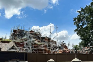 PHOTOS: New Scaffolding Erected for Attraction’s Water Tower at Tiana’s Bayou Adventure