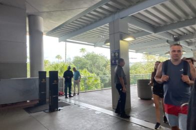 Universal Orlando Resort Security Testing New Xtract One Metal Detectors