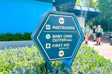 Visiting Disney World and Disneyland Pregnant – Ultimate Guide