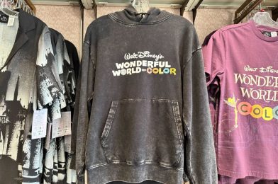 New Disney100 Wonderful World of Color Hoodie at Walt Disney World