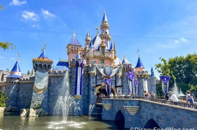 Calling All Disney Visa Cardmembers! This NEW Disney Discount Is for YOU