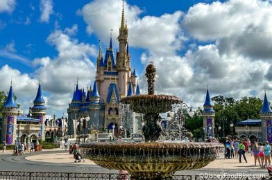 DFB Video: 50 Amazing Things You Never Knew Were in Disney World