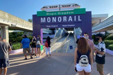 Refurbished Monorail Signs Revealed at Walt Disney World Transportation and Ticket Center