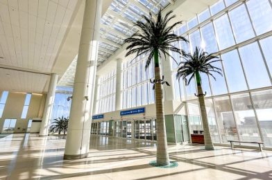 An Ultra-Low Fare Airline Just Added NEW Nonstop Flights to Orlando Airport