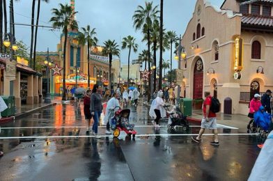 What to Do If You’re Going To Disney World Ahead of Tropical Storm Idalia