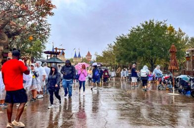 CLOSURE Announced for 3 Disney World Experiences Ahead of Hurricane Idalia