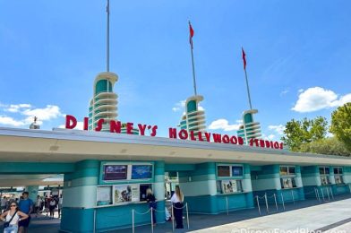 Whew! Slinky Dog Dash’s Average Wait Time Sees HUGE Drop in Disney World