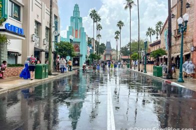 NEWS: Disney World Shares HOTEL UPDATE as Hurricane Idalia Approaches Florida