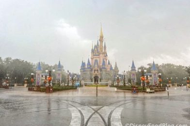 NEWS: Disney issues Statement Ahead of Tropical Storm Idalia