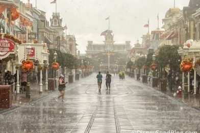 NEWS: Tropical Storm Watch Announced for Disney World Counties