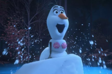 NEW DETAILS Revealed For Disney’s Upcoming  ‘Frozen’ Land!