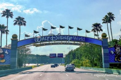 Top 10 VRBOs Near Disney World