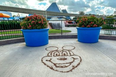 The Hidden Entrance to Get You Into EPCOT Faster