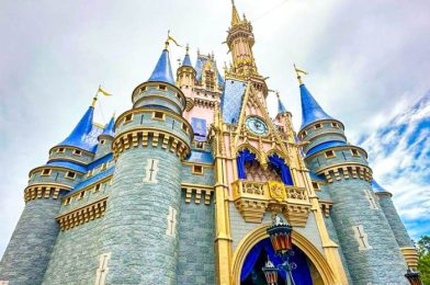 A Magic Kingdom Attraction Will REOPEN Next Week