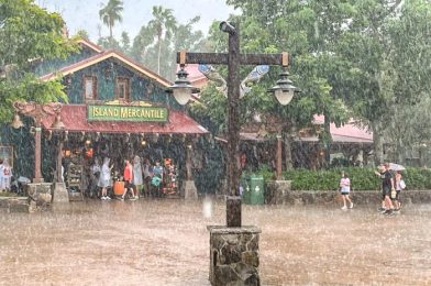 The Latest NEWS and Updates on Tropical Storm Idalia Heading Toward Disney World