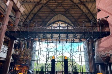 The Harsh Reality of Staying at Disney’s Animal Kingdom Lodge