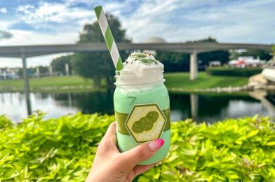 BEWARE – This May Be One of the Most DISGUSTING Snacks in Disney World!