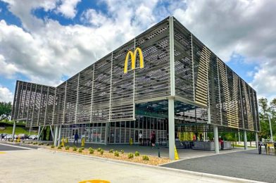 McDonald’s Announces NEW Menu Item in Select Locations