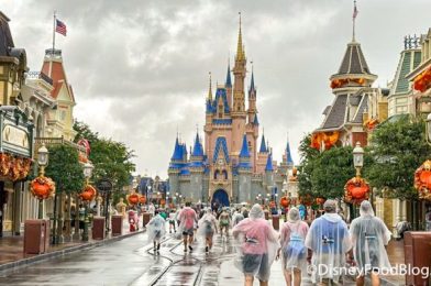 A Beloved Magic Kingdom Ride Is OPEN Following 9-Day Closure