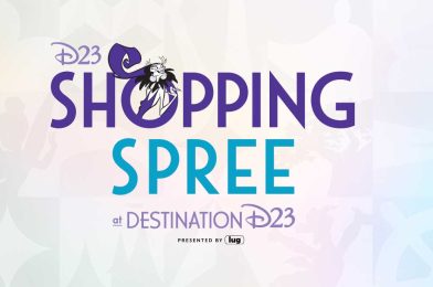 Details Revealed for 2023 Destination D23 Gold Member Shopping Spree