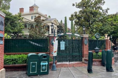 PHOTOS: Pumpkins Added Outside Haunted Mansion Holiday for Overlay at Disneyland