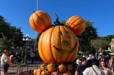 PHOTOS: Giant Mickey Jack-o’-Lantern Appears at Disneyland for Halloween 2023