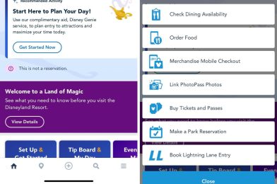 Updated Dining Reservation System Launches on the Disneyland Resort App