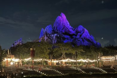 Extended Evening Hours Planned for Disney’s Animal Kingdom