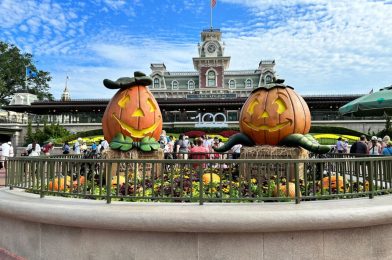 Walt Disney World Issues Update About Post-Hurricane Idalia Policies