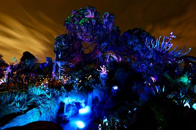 Five Mistakes You Shouldn’t Make Planning for Disney’s Animal Kingdom