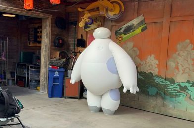 PHOTOS, VIDEO: Meet Hiro and TALKING Baymax in San Fransokyo Square at Disneyland Resort