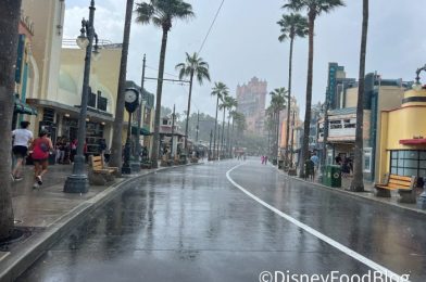 NEWS: Disney World Updates Cancelation Fees Ahead of Hurricane Idalia