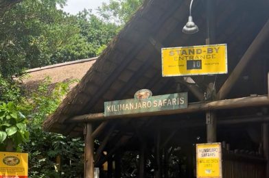 Disney’s Animal Kingdom Wait Times Before Hurricane Idalia Arrives