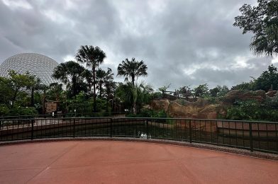 Some Walls Down at Journey of Water Inspired by Moana at EPCOT!