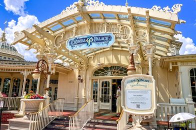 NEWS: Ticketless Packages With Dining Plan Announced for Disney World