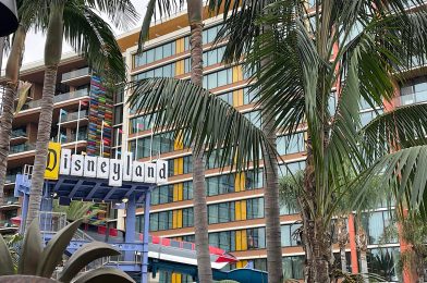 No Great Deals in Late Fall 2023 Disney Vacation Club Direct Pricing